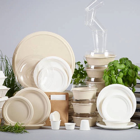 Одноразовая посуда